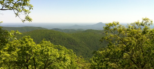 Green Mountains of Georgia - Appalachian Trail